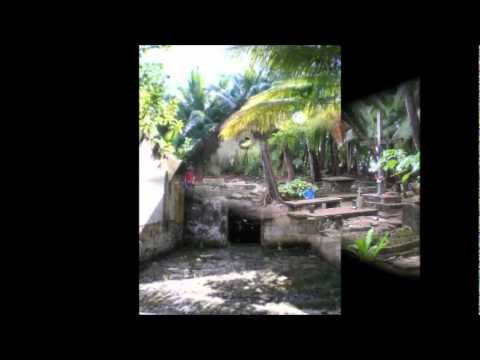 Claude Lafoudre (L.CL.) Bourik mo tonton