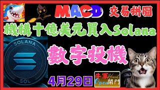 【MACD波動】數字投機｜機構十億美元買入Solana作儲備｜時機｜❤️【4月29日】❤️【公開】#solana #BTC
