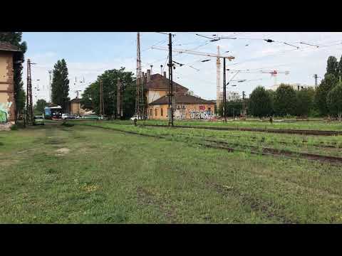 Rákosrendező - Román gép tilitolizik