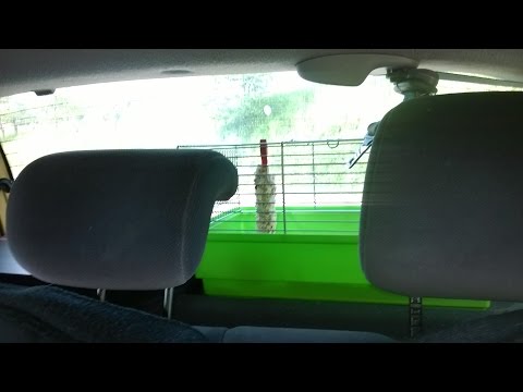 TEKA feat  CHICKS - Jesteś