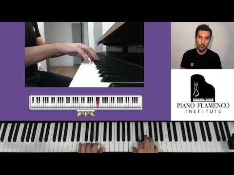 (English) Piano Flamenco Institute - #12 PianoTechnique
