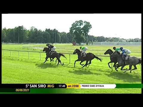 Oaks D'italia - Gruppe 2