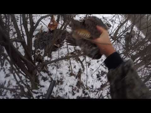 Ontario Grouse Hunt Part 2