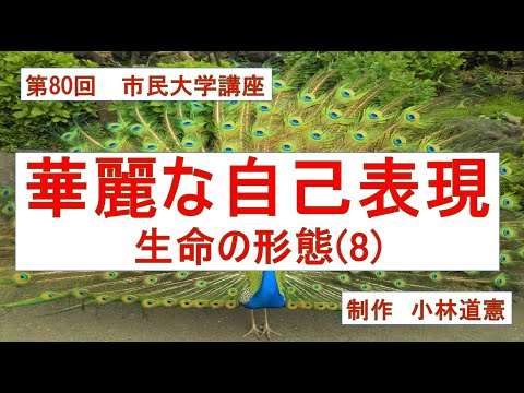 地域科学課程 華麗な自己表現ー生命の形態（８）