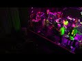 Ozomatli/Seapoodle: Maria Sangria with Asdru on trumpet live at the music box 2/27/26