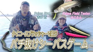 PALMS | 株式会社パームス PALMS | 株式会社パームス