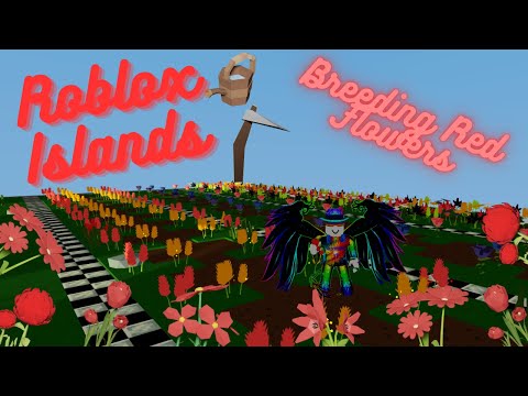 Roblox Islands: How To Breed Red Flowers
