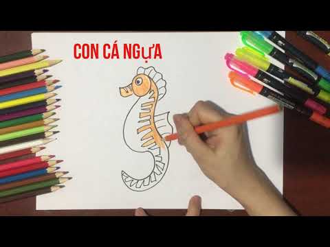 Vẽ con cá ngữa Vẽ Con Cá Ngữa