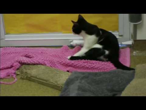 Simon and DeShawn Bathtime