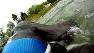 preview picture of video 'GoPro Testing With The Dogs in Sturgeon Bay'
