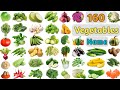 Vegetables Vocabulary ll 160 Vegetables Name in English With Pictures ll All Vegetables Name
