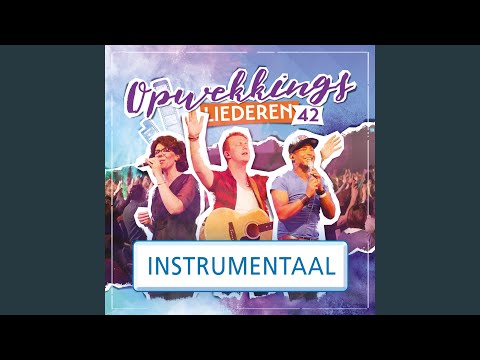 Niemand Anders (819) (Instrumentaal)