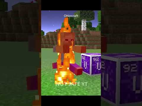 Insane Viral Gamer OhioCraft31 Goes Duck Hunting in Minecraft