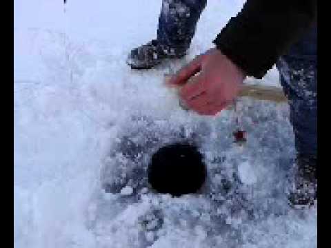 Crazy Northern Pike Tries Doing Back Flip Down Hole!!