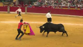 FERIA DEL PILAR 2022 RECORTES DE TOROS