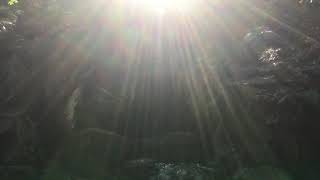 パワスポ☆動画(2019)