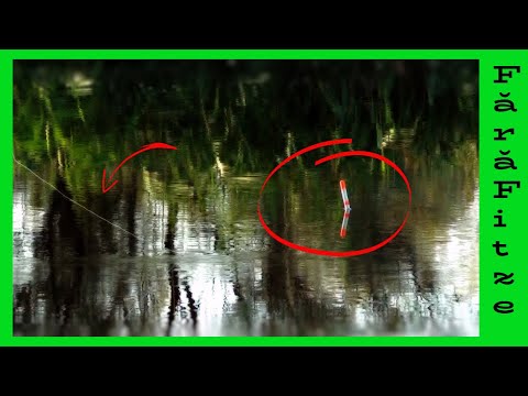 😱La Pescuit [ 𝟝 𝕆ℝ𝔼] dimineata in Delta Dunării - Sulina [ ℙ𝕖 𝕊Ă𝕃𝔹𝔸𝕋𝕀ℂ ]