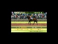 Winning Post 7 2009