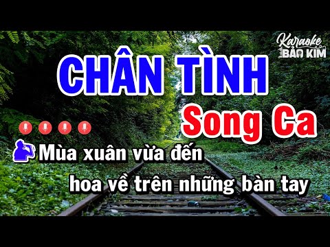 Chân Tình Karaoke Song Ca | Beat Dễ Hát Nhất 2023 Âm Thanh Chuẩn