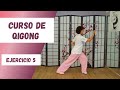 Ejercicio Nº5 El GATO ÁGIL JUGANDO Con SU COLA CURSO De QIGONG