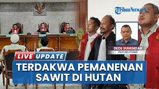 Hukuman Tegas untuk Pelaku, Terdakwa Panen Sawit Ilegal di Gunung Tikus Divonis 3 Tahun Penjara