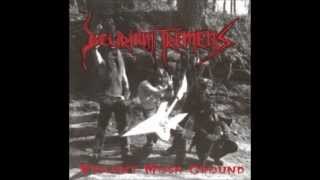 Delirium Tremens - Violent Mosh Ground