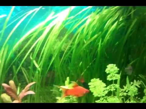 Watch Video on YouTube