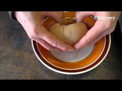 You Have Been Warned: Giant Egg