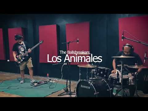 The Ballsbreakers - Los Animales | LIVE IN STUDIO