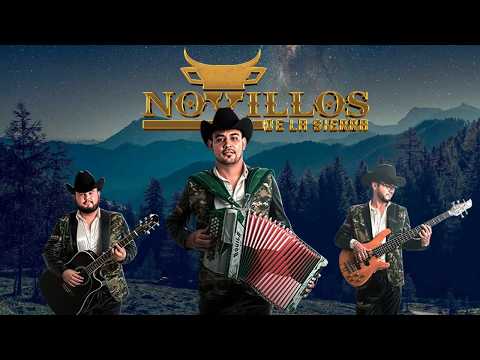 🔥 Novillos de la Sierra – Sus Mejores Éxitos 2026 | Sierreño Romántico 💔