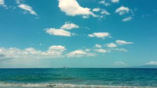 Brothertiger - This Must Be The Place (Naive Melody)