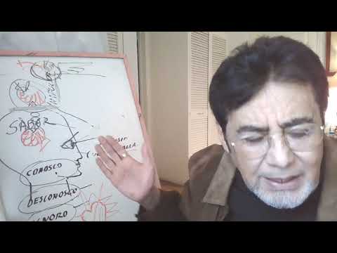 SEMESTRE 2 APRECIACION ARTISTICA SECION 4 SEGUNDA PARTE