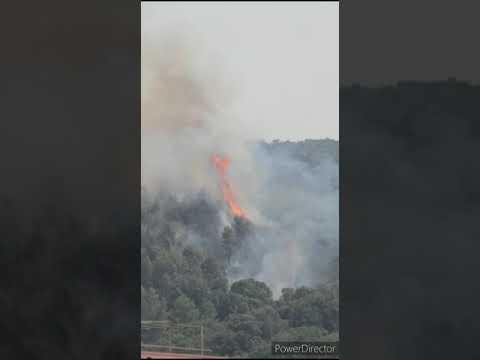 Incendio a Piombino in zona Salivoli