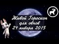 Гороскоп Овен на 24 января от Зайки Zoobe 