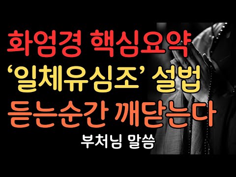 화엄경 핵심요약 '일체유심조' 이해하기 | 부처님말씀 | 불교명언 | 법정스님 | 법문 | 좋은말씀 | 석가모니 가르침