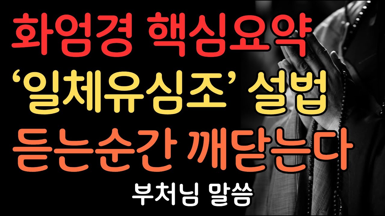 화엄경 핵심요약 '일체유심조' 이해하기 | 부처님말씀 | 불교명언 | 법정스님 | 법문 | 좋은말씀 | 석가모니 가르침