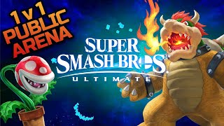 Super Smash Bros. Ultimate 1 vs. 1 Public Arena Hangout