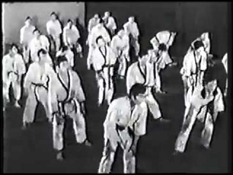 Трейлеры Хапкидо