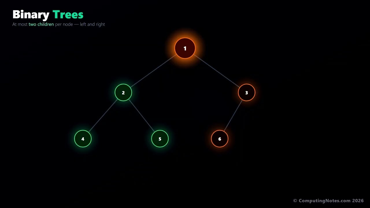 Tree Data Structures Explained | Basics, Binary Trees & Traversals