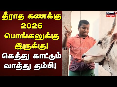 Jallikattu 2026 | தீராத கணக்கு 2026 பொங்கலுக்கு இருக்கு! - கெத்து காட்டும் வாத்து தம்பி! | Madurai