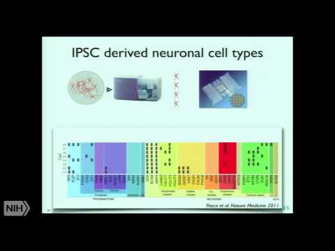 A new day for drug development in neuroscience