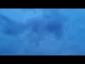 Elephant Cloud