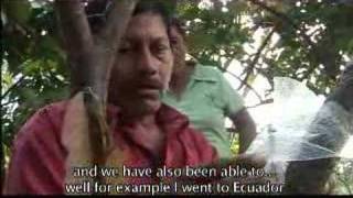 preview picture of video 'Cosme Lopez, a cocoa producer'