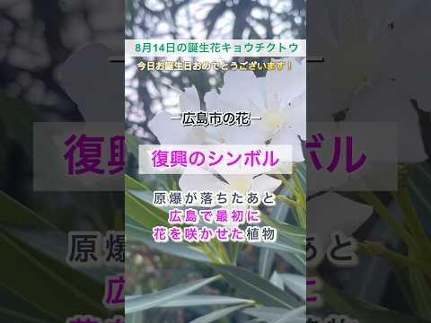 キョウチクトウの世話：キョウチクトウの開花を引き起こし、それを持続させるにはどうすればよいですか？  庭園
