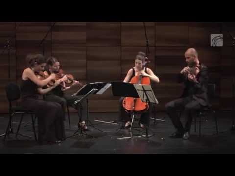 Quatuor Voce plays Bartok Allegro pizzicato