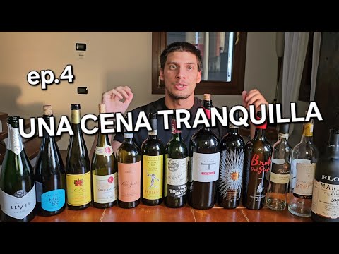 Riassunto di una cena TRANQUILLA 🥂🍷🔥👀 ep.4