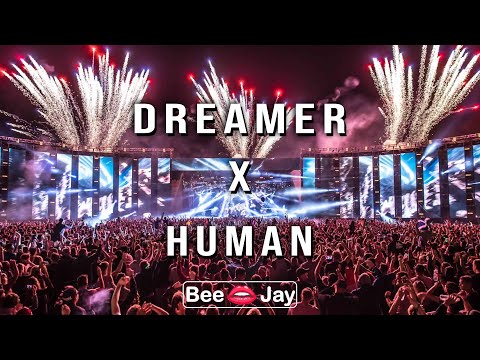 Axwell Λ Ingrosso - Dreamer x The Killers - Human [French Sisters Mashup]