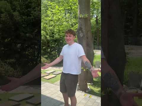 Jaki kolor wybrać na taras?? #shorts