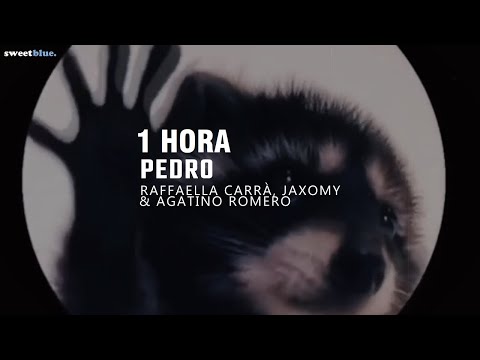 [1 HORA] la canción de pedro | PEDRO - Raffaella Carrà, Jaxomy, Agatino Romero (TikTok Remix)