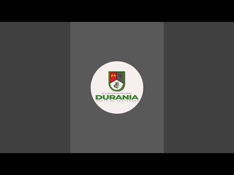 Fuegos artificiales 1 de enero de 2026